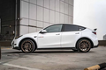 TESEVO Carbon Fiber Side Skirts TOPMIX for Model Y - Tesevo