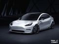 TESEVO Carbon Fiber E-Style Side Skirts for Model 3 - Tesevo