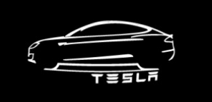 TESEVO LED Logo Tesla Puddle Lights for Model 3/Y/S/X-TESEVO