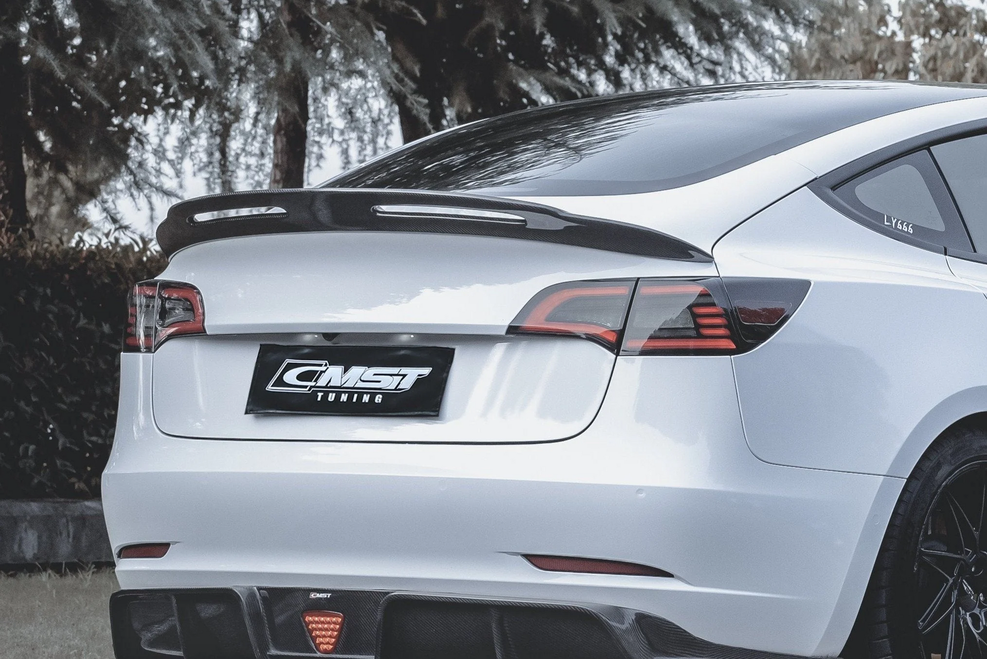 TESEVO Carbon Fiber Rear Spoiler D-Style for Model 3 - Tesevo