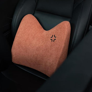 TITA Lumbar Support Pillow for All Car