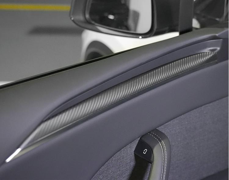 Dry Carbon Fiber Door Trim Overlay for Model S/X - Tesevo