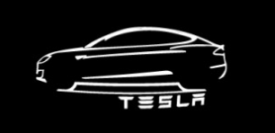 TESEVO LED Logo Tesla Puddle Lights for Model 3 Highland/Y/S/X - Tesevo