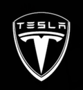 TESEVO LED Logo Tesla Puddle Lights for Model 3 Highland/Y/S/X - Tesevo