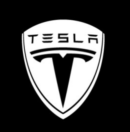 TESEVO LED Logo Tesla Puddle Lights for Model 3 Highland/Y/S/X - Tesevo