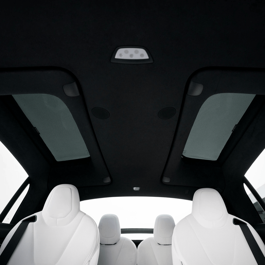 TESEVO Side Car Window Sunroof Sunshades for Model X - Tesevo